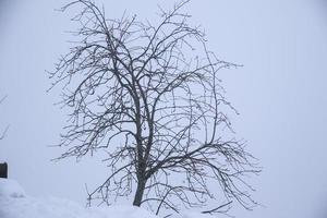 paysage d'hiver dans les alpes autrichiennes photo