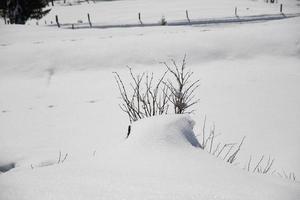 paysage d'hiver dans les alpes autrichiennes photo