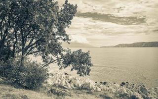 belle promenade de paysage méditerranéen à novi vinodolski croatie derrière des arbres. photo