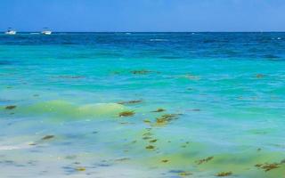 bateaux yachts navire jetée plage à playa del carmen mexique. photo