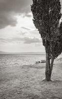beau paysage méditerranéen à novi vinodolski croatie derrière un arbre. photo