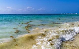 eau de plage des caraïbes tropicales algues sargazo playa del carmen mexique. photo