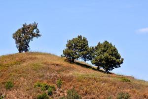 vue panoramique sur les montagnes photo