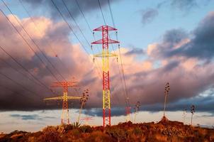 vue sur poteau électrique photo