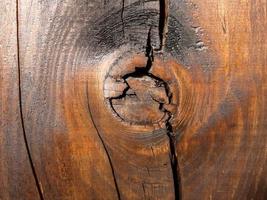 texture de gros plan en bois photo