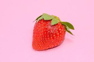 fraise sur fond rose photo