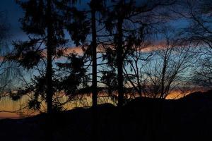 couleurs de coucher de soleil rouge et bleu avec des arbres en siulette photo