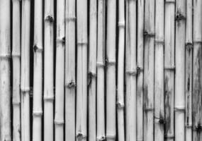 texture de fond de mur en bois de bambou blanc photo