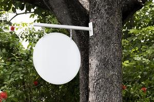 signe de cercle blanc extérieur sur l'arbre photo