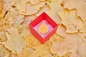 coffret cadeau avec feuille d'automne photo