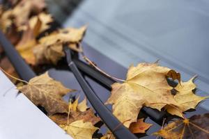 feuilles d'automne jaunes tombées sur le pare-brise et le capot de la voiture, feuillage d'automne, transport photo