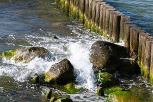 mascaret marin. les vagues se brisent sur les pierres envahies par la mousse et les algues. beau paysage marin. photo