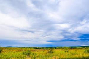 paysage de champ vert avec ciel bleu et nuages orageux. photo