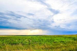 paysage de champ vert avec ciel bleu et nuages orageux. photo