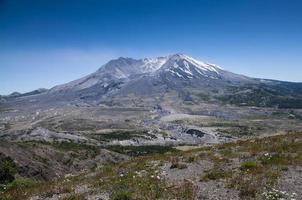 mt. St. helends et fleurs sauvages photo