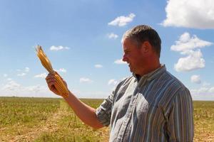 paysan dans le chaume de la récolte de maïs photo