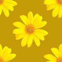 motif de fleurs jaunes pour l'été photo