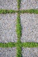pavé de pierres rectangulaires et d'herbe verte entre eux. fond texturé. espace de copie. vue de dessus. photo