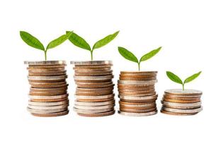 feuille d'arbre sur les pièces d'argent économisées, concept d'investissement bancaire d'économie de financement des entreprises. photo