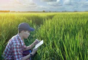 un adolescent asiatique en chemise à carreaux porte un chapeau, se penche et tient une oreille de riz pour vérifier la qualité du riz et pour stocker les détails dans sa tablette dans la rizière locale, projet de riz des enfants. photo