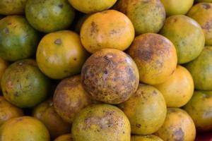 les fruits orange s'empilent sur l'étagère. photo