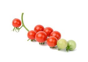 tomates mûres rouges sur une branche verte sur fond blanc, légume sain, gros plan photo
