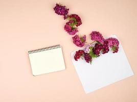 cahier avec des feuilles vierges et des boutons de fleurs d'oeillet turc dianthus barbatus photo