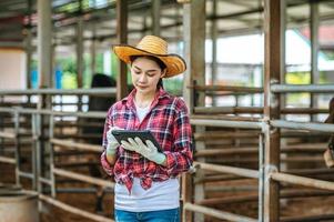 heureuse jeune agricultrice asiatique avec un ordinateur tablette en se tenant debout et en regardant une tablette sur une ferme laitière. industrie agricole, agriculture, personnes, technologie et concept d'élevage. photo
