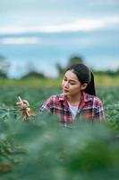 une jeune agricultrice asiatique avec une tablette dans les mains examine le champ vert. technologies modernes dans la gestion de l'agriculture et le concept de l'agro-industrie.