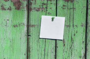 petite feuille vide blanche photo