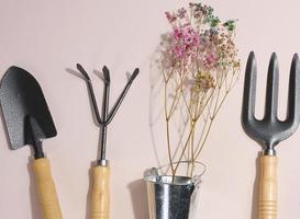 outils de jardin pour le traitement des lits dans le jardin sur fond beige photo