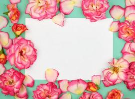 feuille de papier blanc et bourgeons de roses roses photo