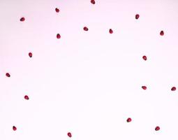 coccinelles rouges sur fond rose photo