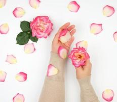 deux mains d'une jeune fille à la peau lisse et aux pétales de rose roses sur fond blanc, vue de dessus photo