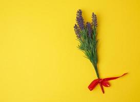 bouquet de lavande et ruban rouge sur fond jaune photo