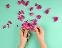 deux mains d'une jeune fille à la peau lisse et à la pivoine rouge photo