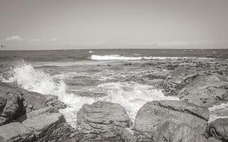 False Bay Coast Paysage Simons Town Cape Town Afrique du Sud. photo