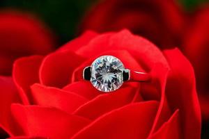 anneaux de mariage de diamant sur les roses rouges photo