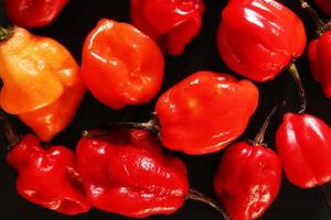 gros plan, de, habaneros photo