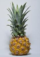 ananas sur fond blanc photo