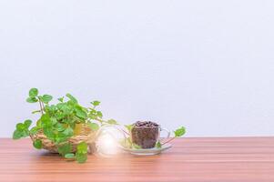 café et ampoule sur le bureau photo