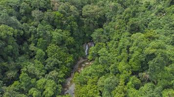 vue grand angle de la rivière de la forêt tropicale photo