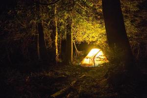 rêver des bois photo