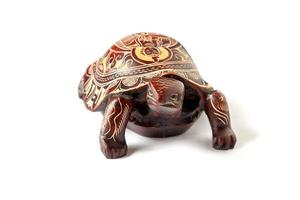 tortue avec l'image du bouddha sur la coquille, fond blanc. vue de face. photo