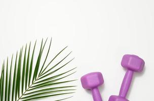 deux haltères de kilogramme en plastique violet sur fond blanc, vue de dessus. équipement sportif photo