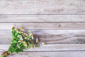 marguerites sur table photo