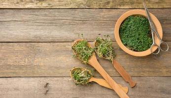 pousses vertes de chia, roquette et moutarde dans une cuillère en bois sur fond gris à partir de vieilles planches grises, vue de dessus. complément utile pour les aliments contenant des vitamines c, e et k photo