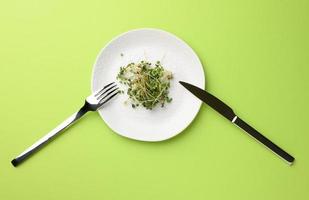 pousses vertes de chia, roquette et moutarde dans une assiette ronde blanche, vue de dessus photo