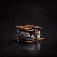 photo smores sur fond noir photographie alimentaire