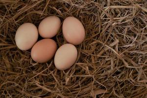 oeufs de poule frais avec nid, un tas d'oeufs bruns dans un nid à la ferme photo